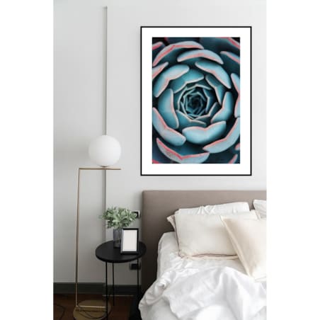 Poster Story, Plakat, Obraz - Tęczowy Sukulent, wymiary 70 x 100 cm