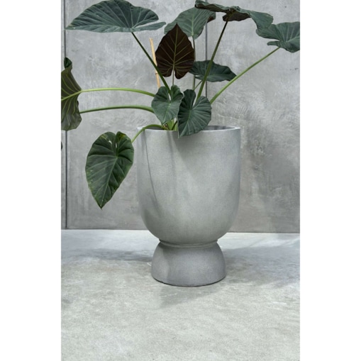 DONICZKA ODESSE LUXE M