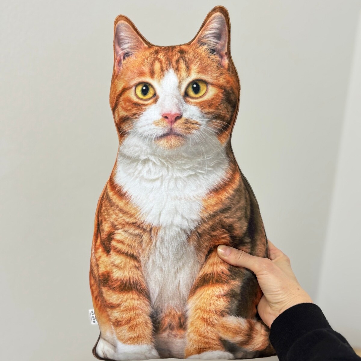 Poduszka dekoracyjna Kot rudy pręgowany z białymi łatkami