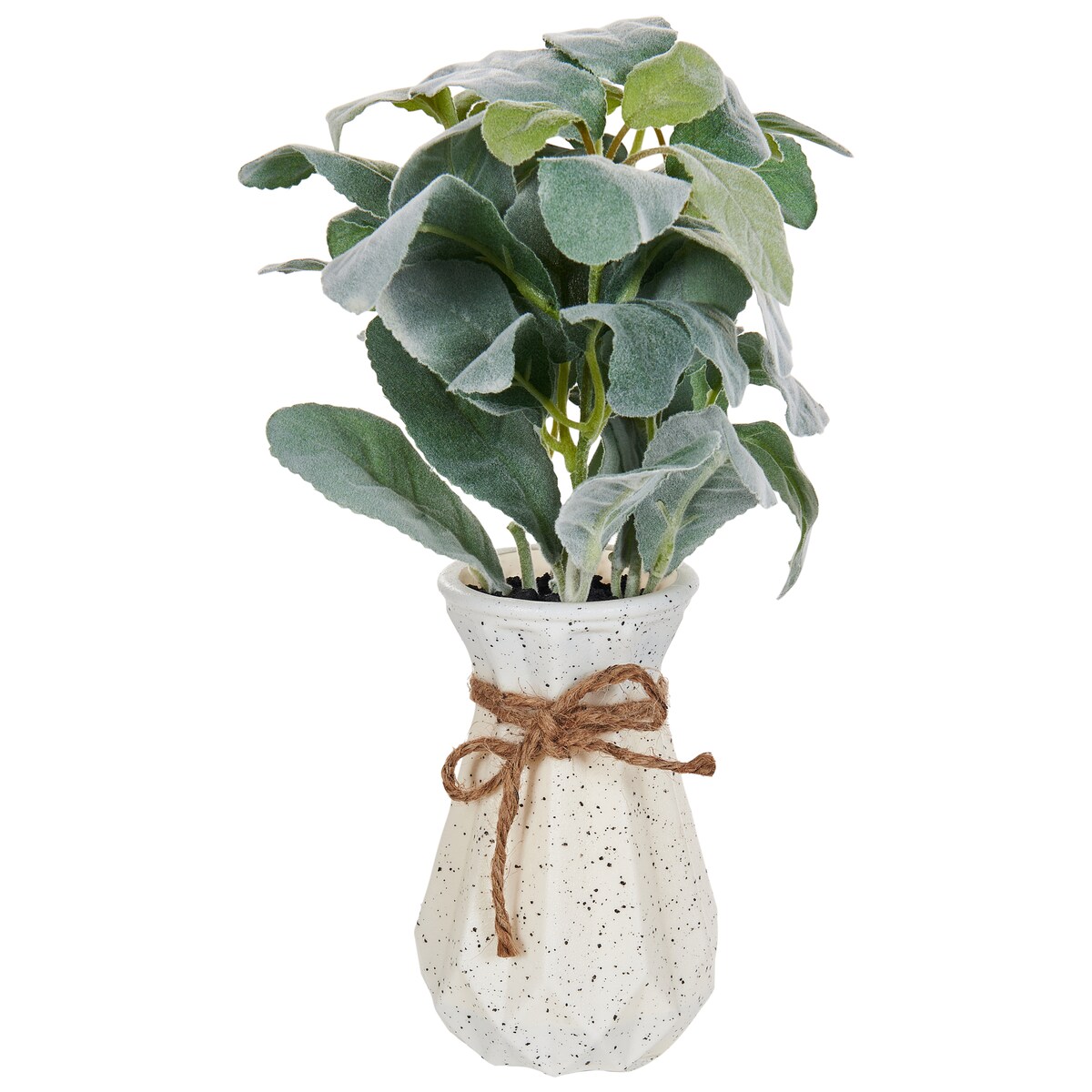Sztuczna roślina PEPEROMIA ARGYREIA 30 cm Zielony