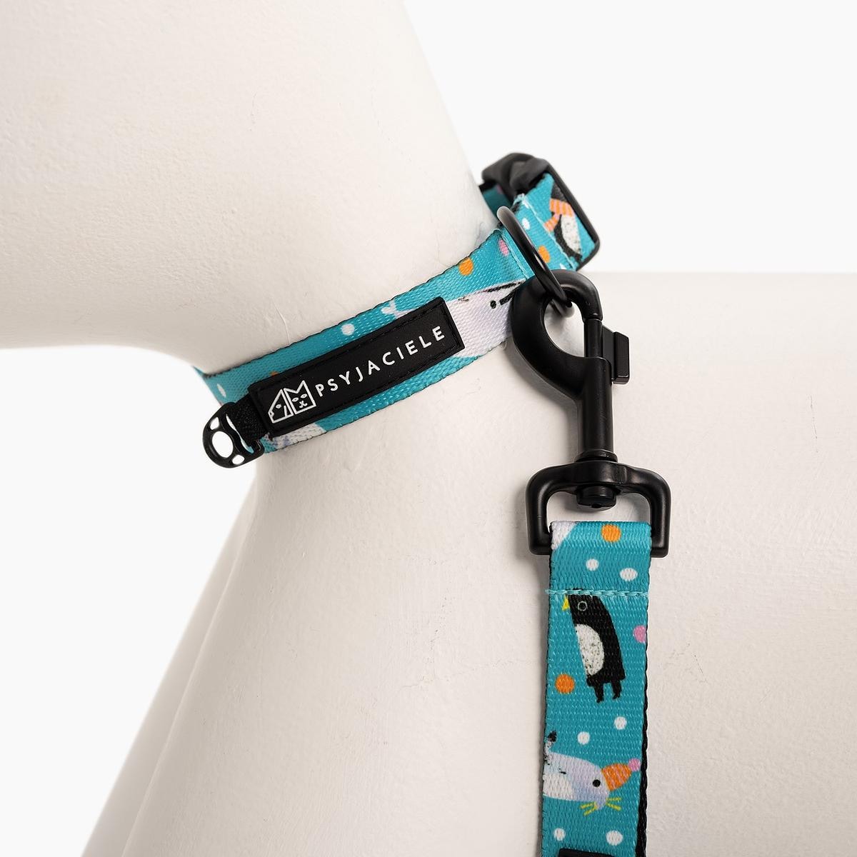 Obroża dla psa lub kota "Łot de fok?" - Szerokość taśmy: 25mm, Rozmiar: L