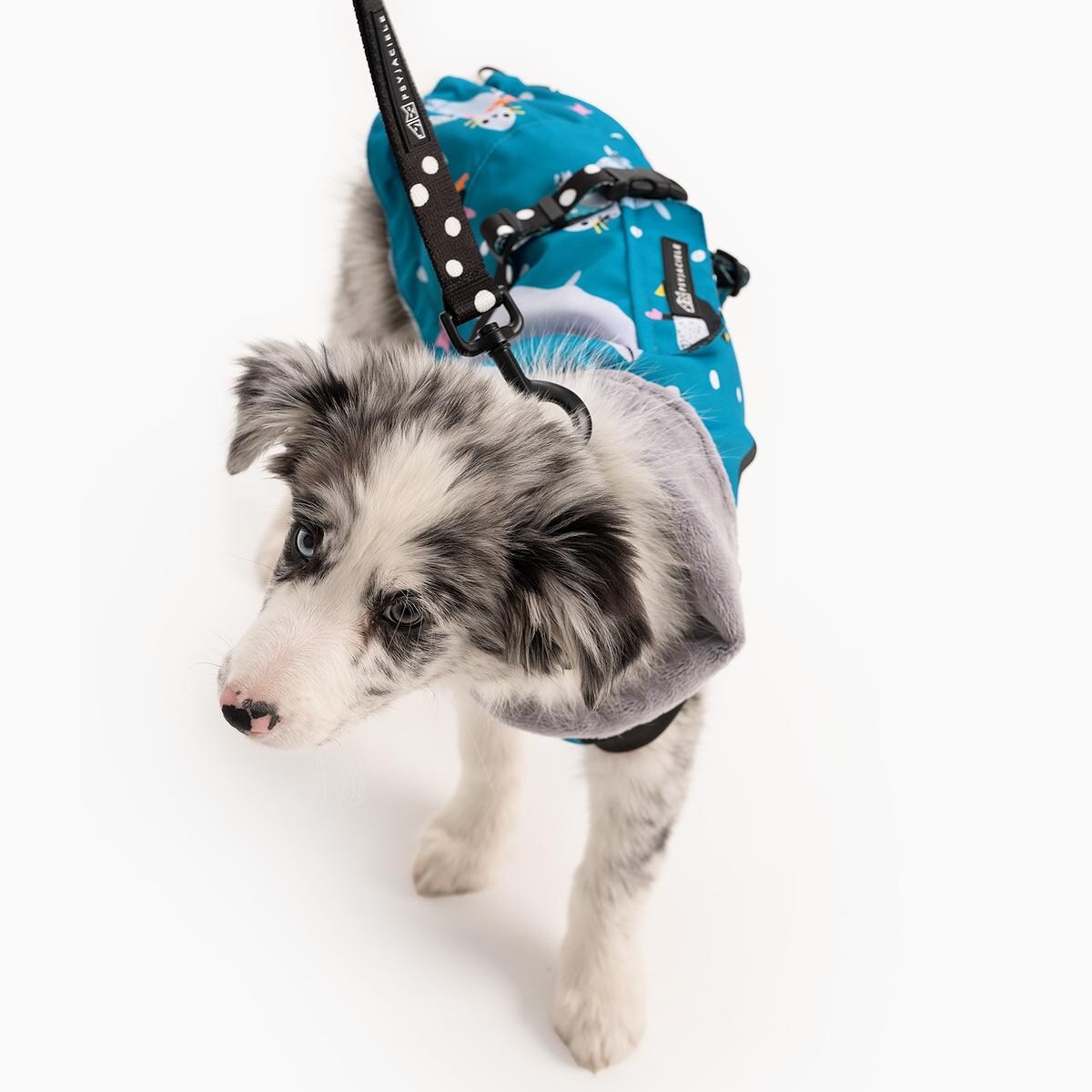 Kurtka dla psa "Łot de fok?" - Rozmiar: XL