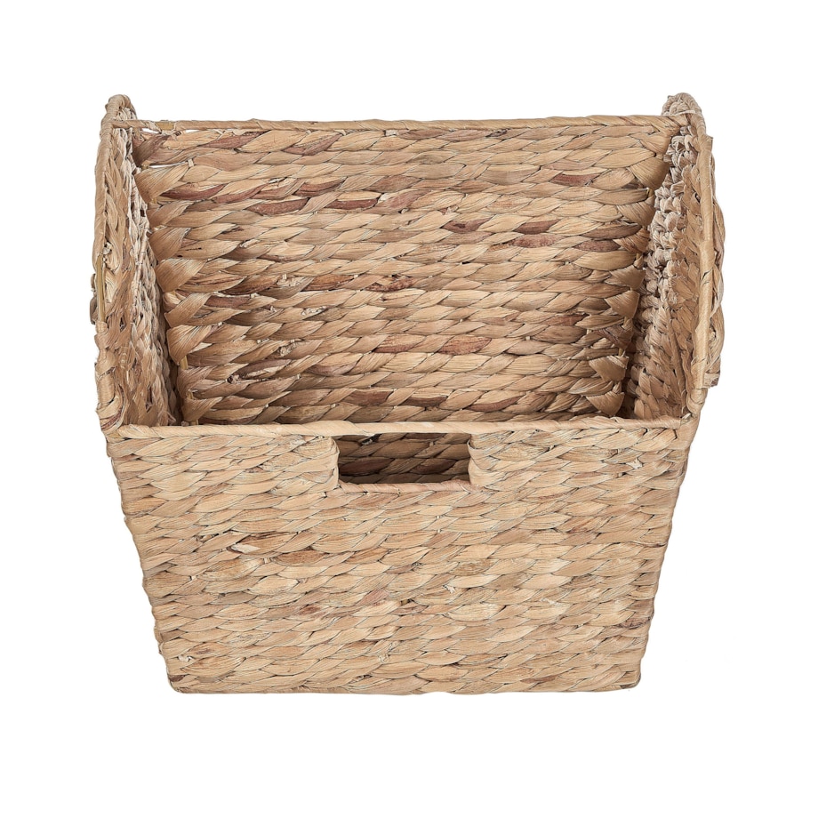 Gazetnik z hiacyntu wodnego jasny VINH