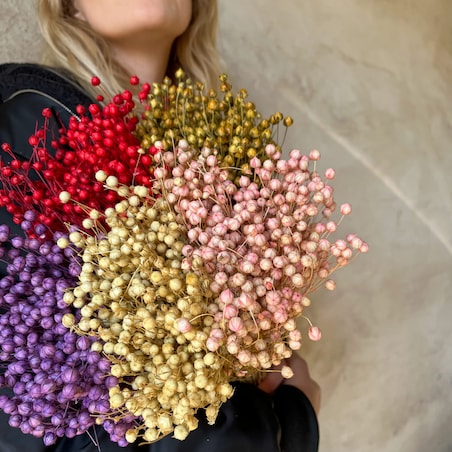 Suszony Len Jasnoróżowy