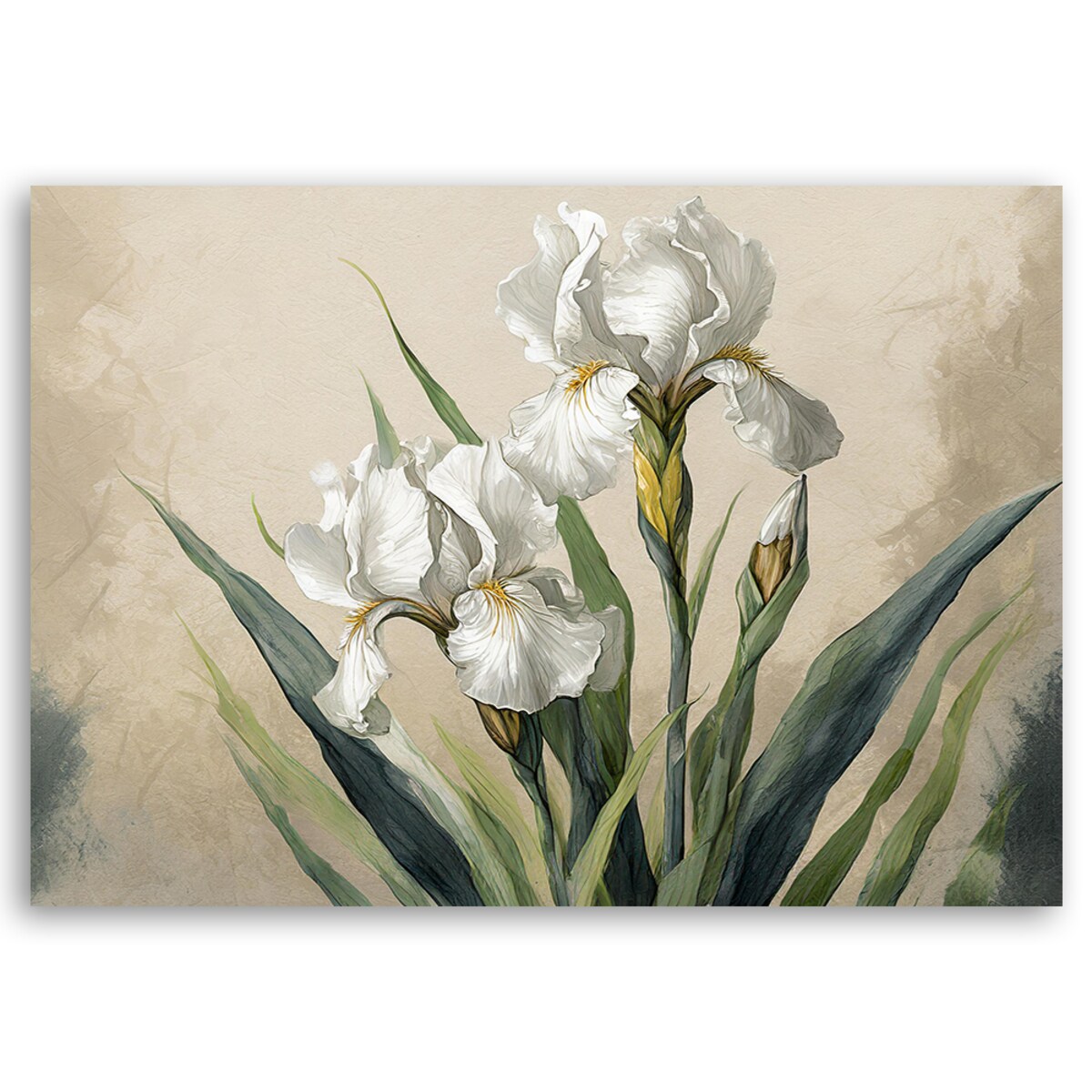 Obraz do salonu sypialni na ścianę Białe Kwiaty cm 90x60