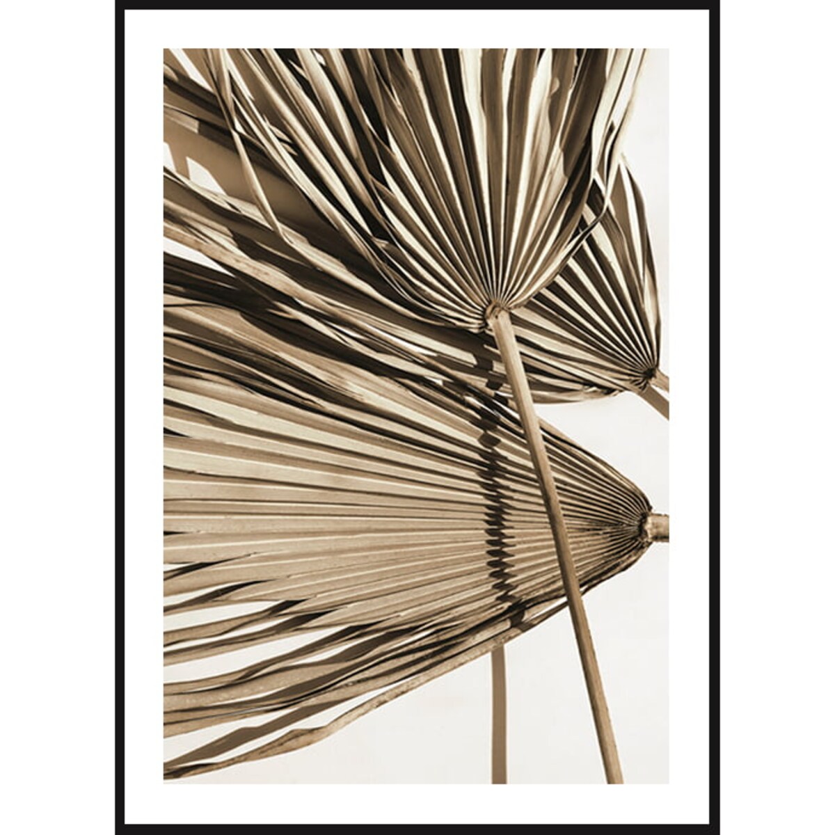 Poster Story, Plakat, Obraz - Beżowe Liście Palmy, wymiary 21 x 30 cm