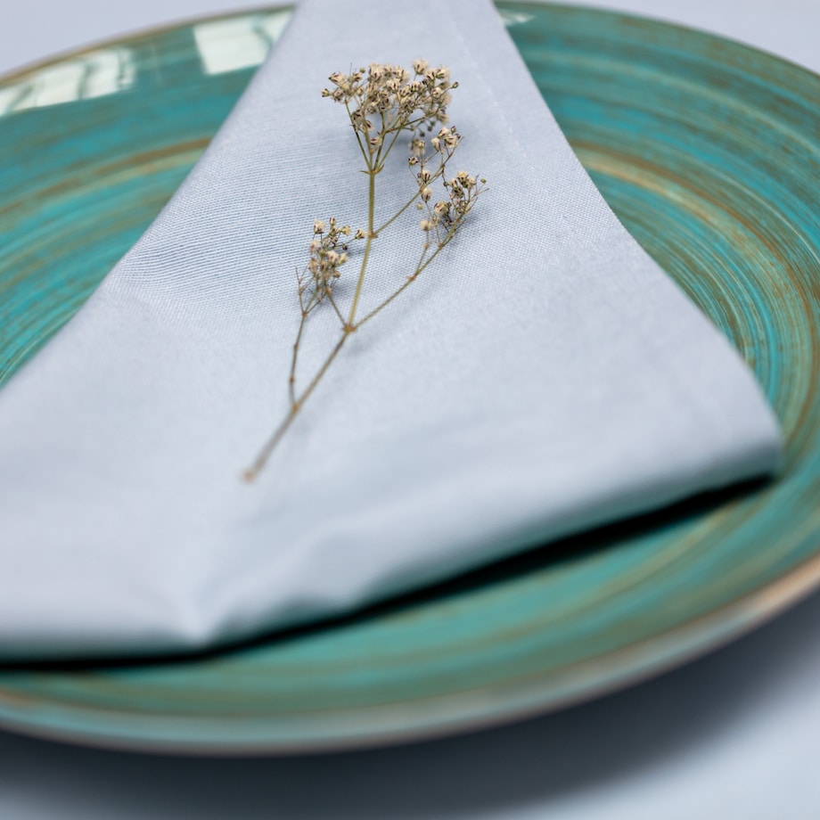 Komplet serwetek 6 szt. 42x42cm Loneta 133-35, 42 x 42