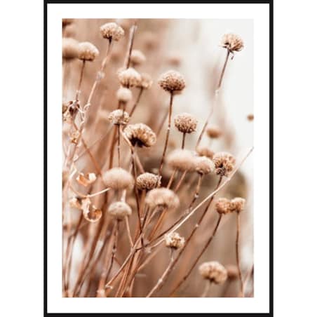 Poster Story, Plakat, Obraz - Beżowe Suszone Kwiaty, wymiary 50 x 70 cm