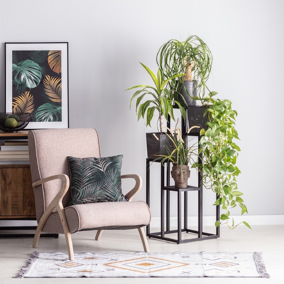 Kwietnik Jox, 41 x 40 x 101 cm