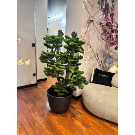 Bonsai na naturalnym pniu 120cm