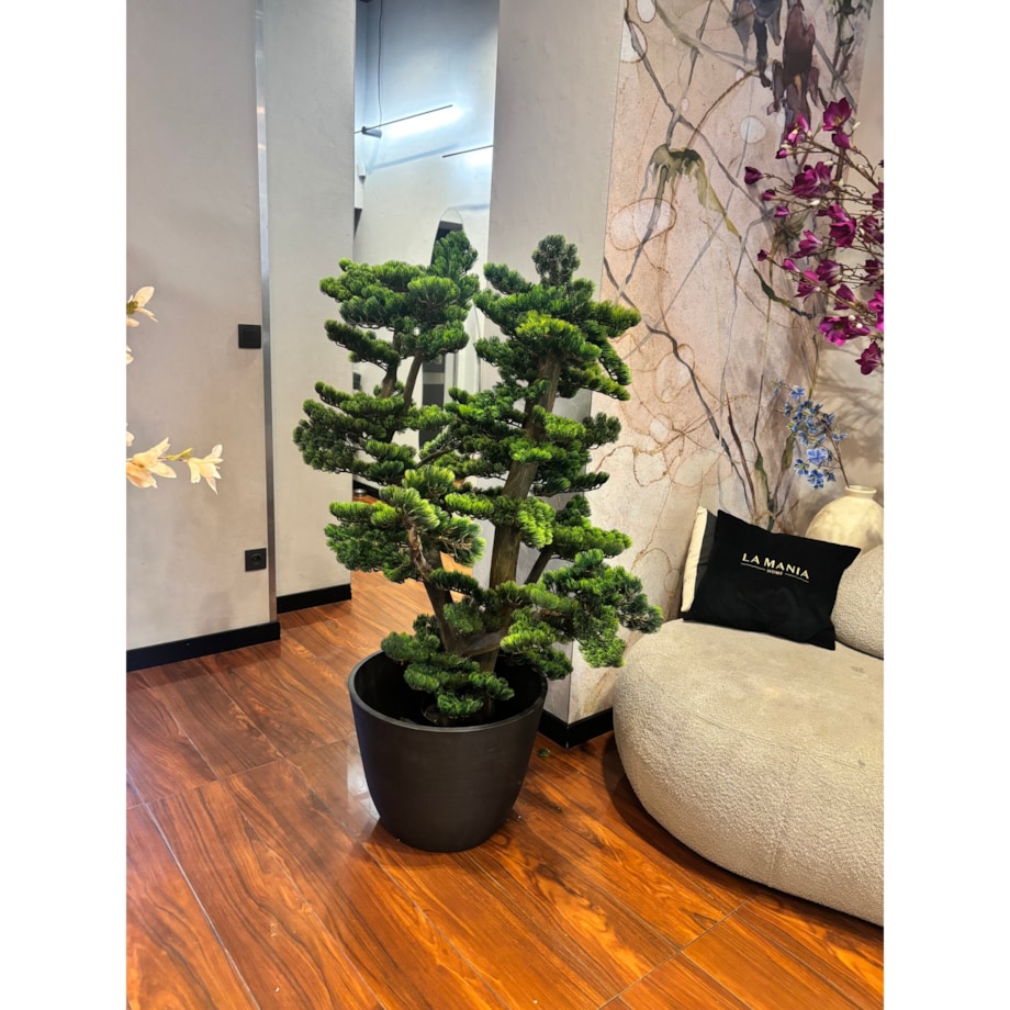 Bonsai na naturalnym pniu 120cm