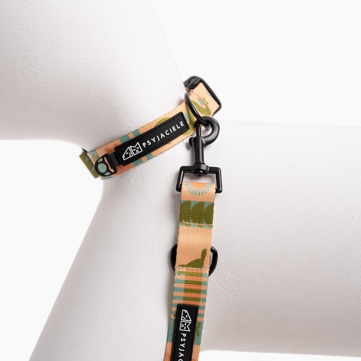 Obroża dla psa lub kota "Piesss" - Szerokość taśmy: 25mm, Rozmiar: L