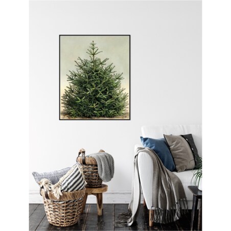 Poster Story, Plakat, Obraz - Gęsta Żywa Choinka, wymiary 50 x 70 cm