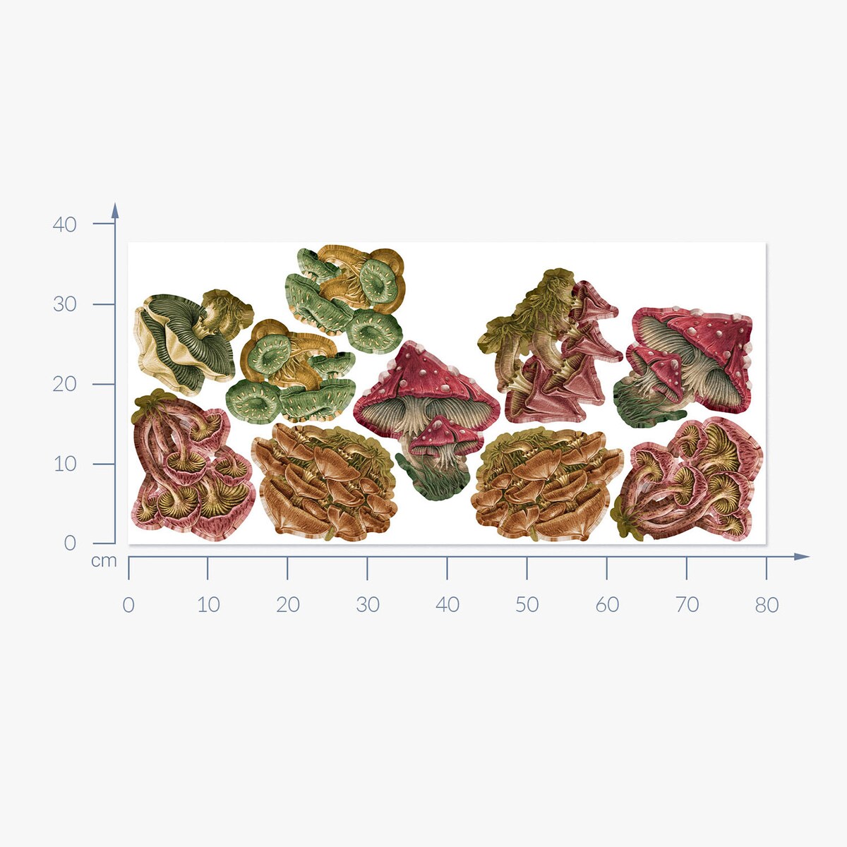 Zestaw naklejek na ścianę, Grzybowa łąka, 80cm