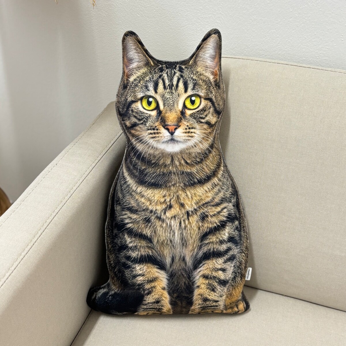 Poduszka Kot domowy pręgowany dachowiec tabby