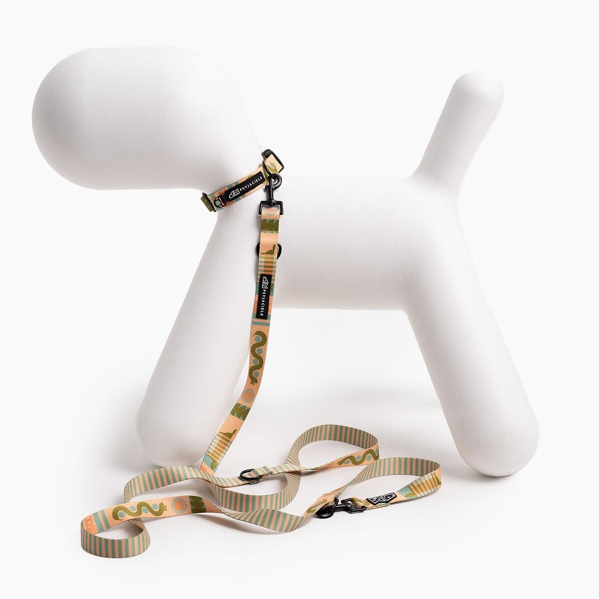 Obroża dla psa lub kota "Piesss" - Szerokość taśmy: 25mm, Rozmiar: L