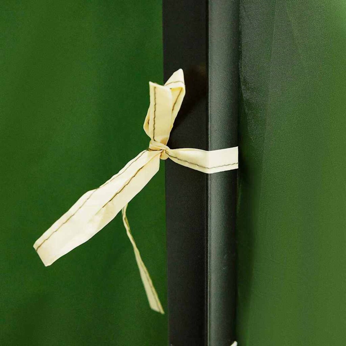 vidaXL Namiot Rodzinny Wewnętrzny Zielony 520 x 520 x 190 cm