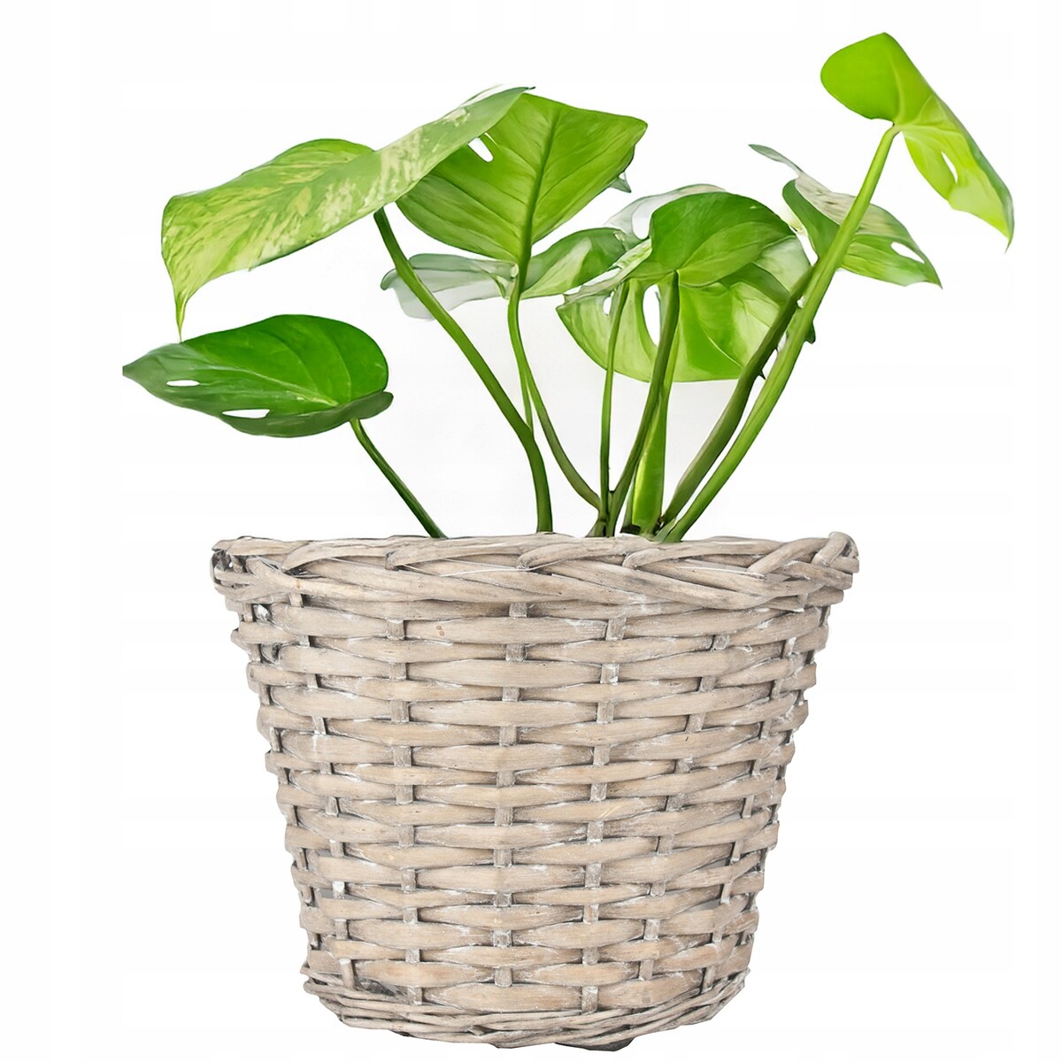 OSŁONKA WIKLINOWA KOSZ WIKLINOWY 25cm DONICZKA DONICA SZARA DUŻA BOHO