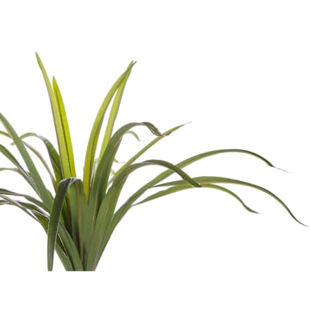 Sztuczna roślina DRACAENA ANITA 147 cm Zielony