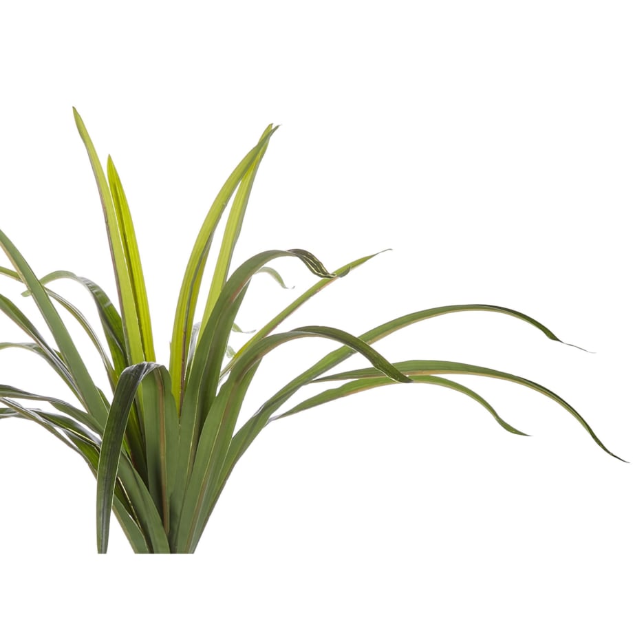 Sztuczna roślina DRACAENA ANITA 147 cm Zielony