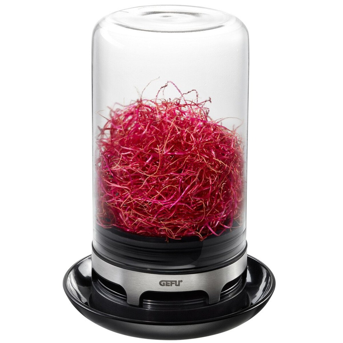 Kiełkownica ze szklaną kopuła, naczynie ze szkła do hodowania kiełków