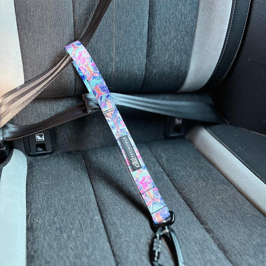 Pętla mocowana do pasa samochodowego "Więcej niż jedno zwierzę"