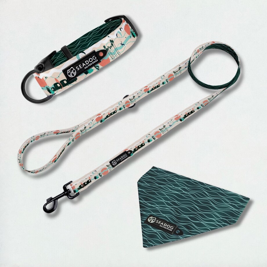 Zestaw: smycz, obroża i bandana, rozmiar L