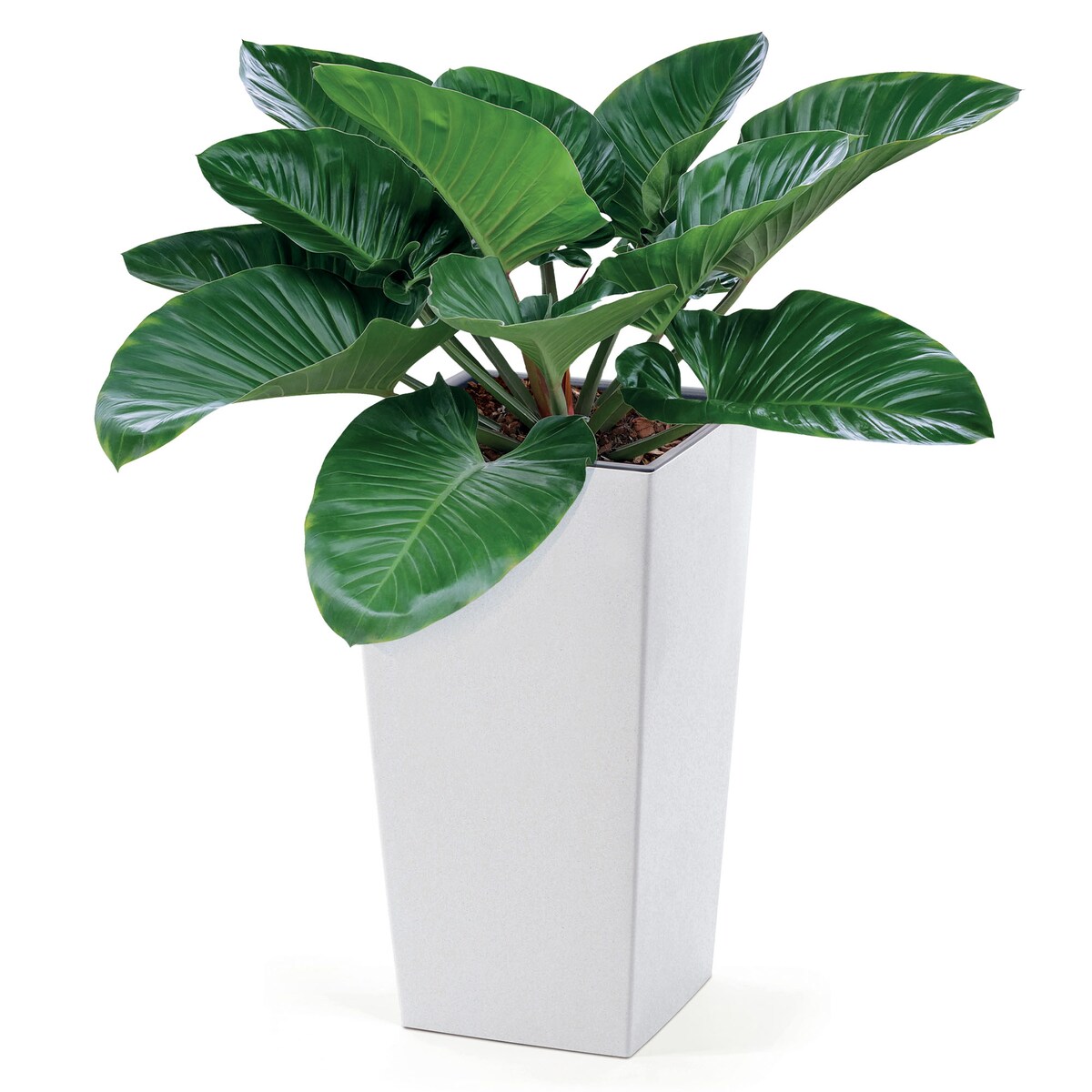 Donica Doniczka Ogrodowa 19,5 Cm Na Taras Do Ogrodu Domu Eco Wood Biała