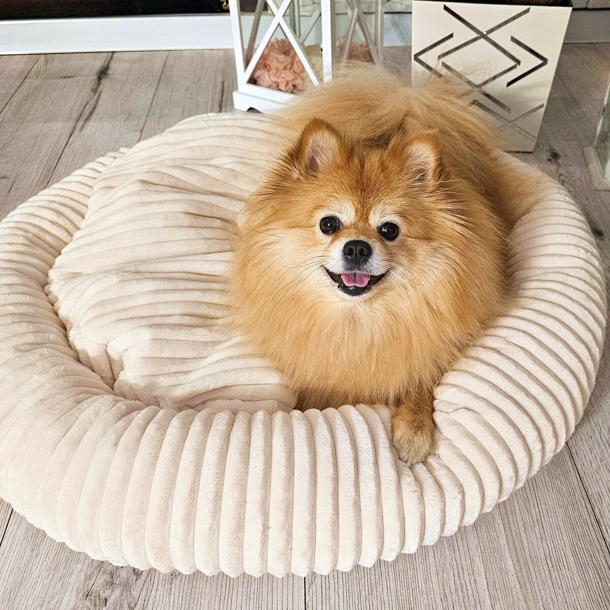 Urocze legowisko dla psa lub kota LUNA, 75x65 cm, Ecru