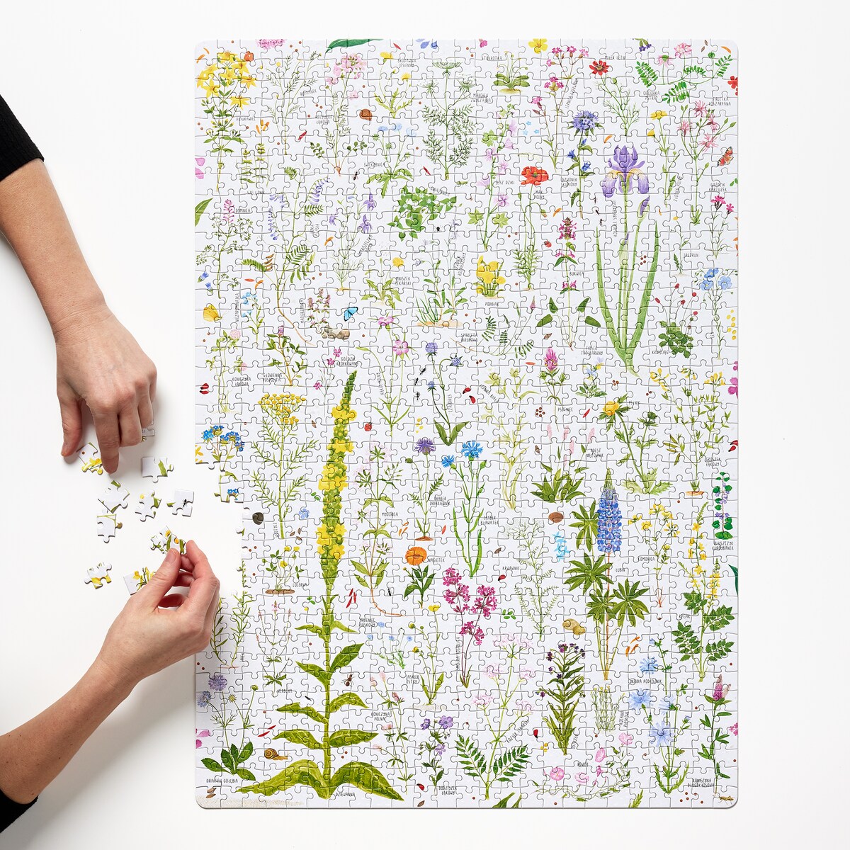 Puzzlove CzuCzu Kwiaty polne 1000 el.