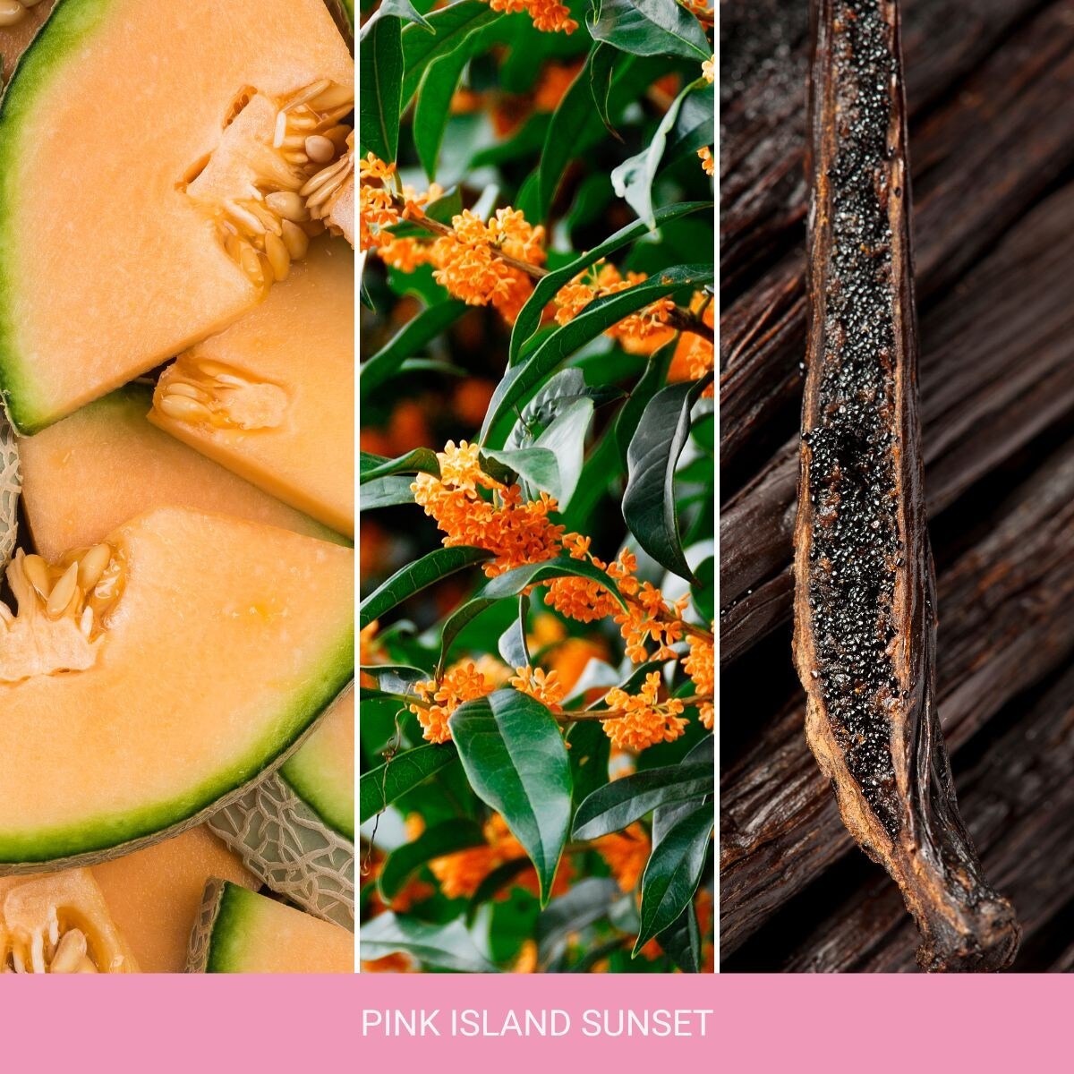 Home Inspiration świeca mała PINK ISLAND SUNSET