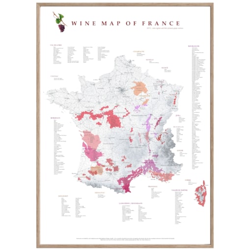 plakat FRANCJA regiony winiarskie 40x50cm