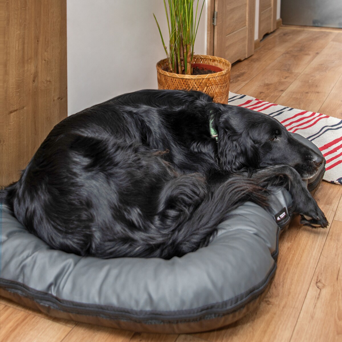 Legowisko Ponton dla psa z eko skóry ELLA, 90x70 cm, Grafit