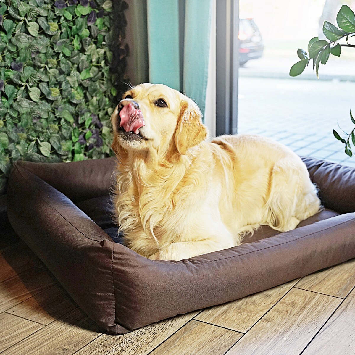 Wodoodporne legowisko dla psa KOKO, 80x60 cm, Brąz