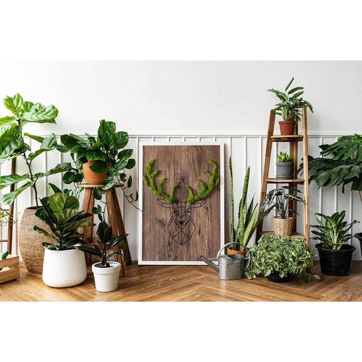 Obraz Głowa jelenia na drewnianym tle - mech chrobotek w białej ramie 40x60cm