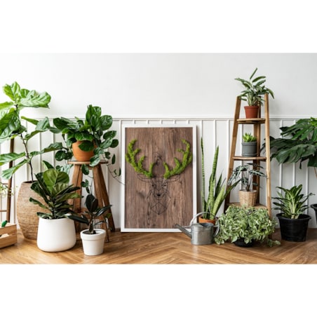 Obraz Głowa jelenia na drewnianym tle - mech chrobotek w białej ramie 40x60cm