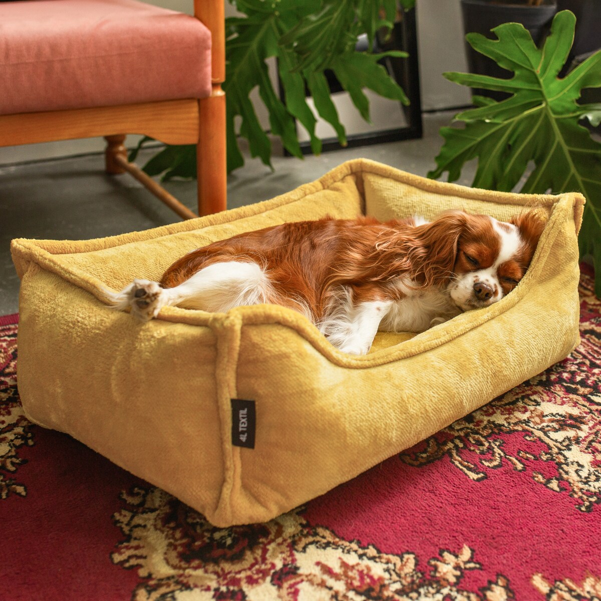 Ortopedyczne legowisko dla psa IRIS, 60x40 cm, Żółty