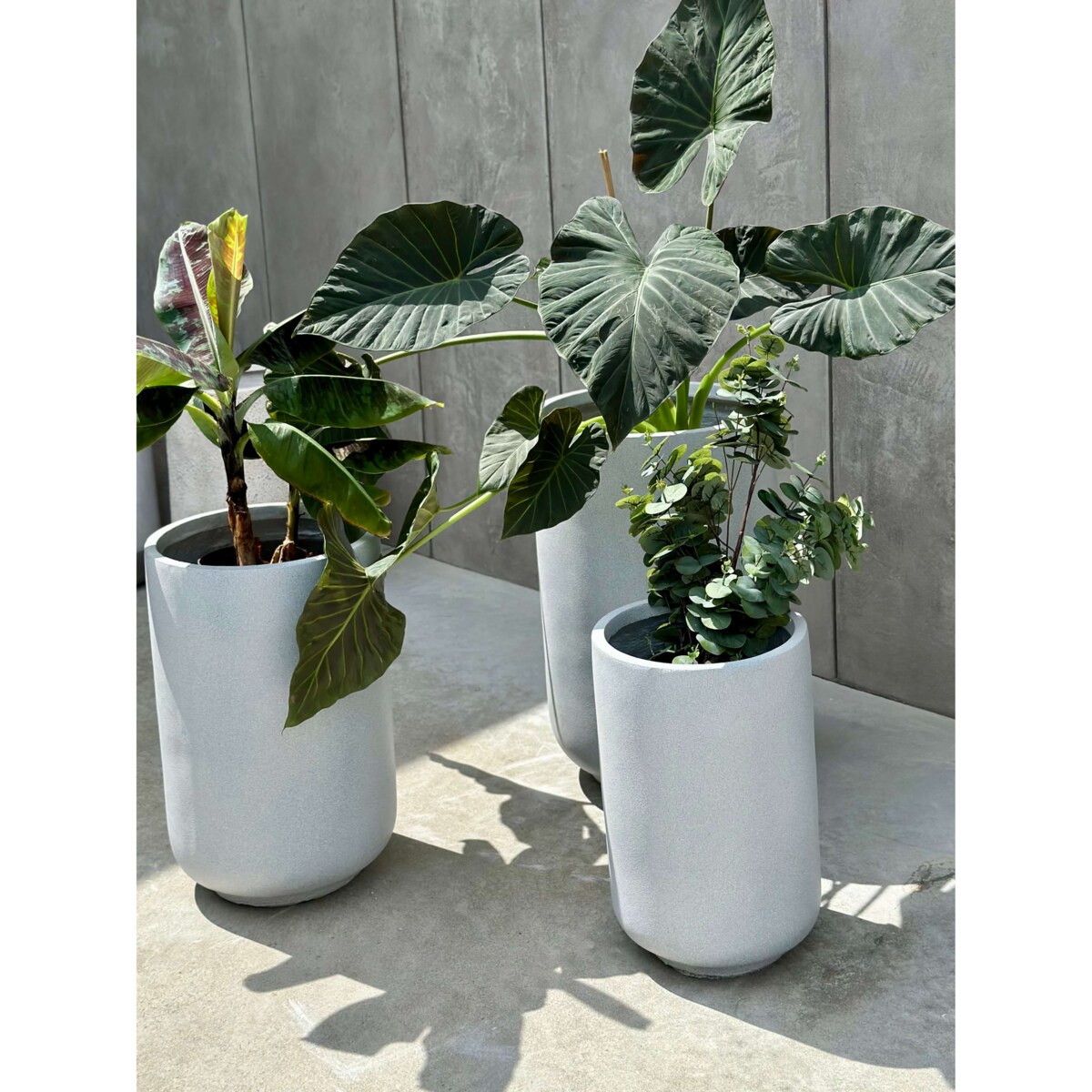 ZESTAW DONICZEK PANDORE SET