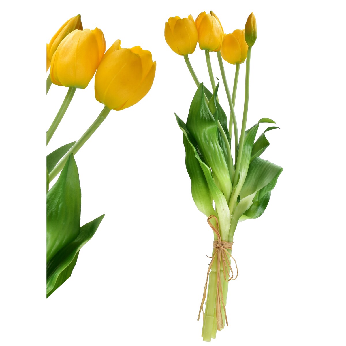 Bukiet tulipanów VIRIDIS