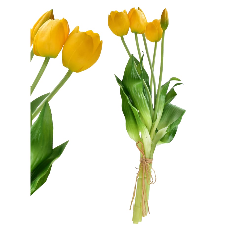 Bukiet tulipanów VIRIDIS