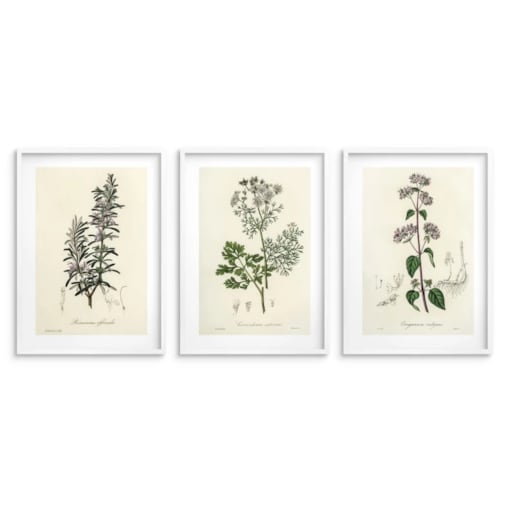 Zestaw 3 plakatów Obrazy na ścianę do Kuchni Plakaty kuchenne Zioła