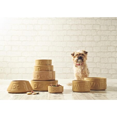 Miska z napisem dla psa Petware Cane, 15 cm, Mason Cash