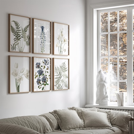 Zestaw 6 Ilustracji 21x30cm