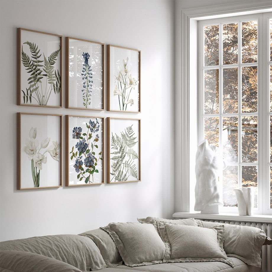 Zestaw 6 Ilustracji 21x30cm