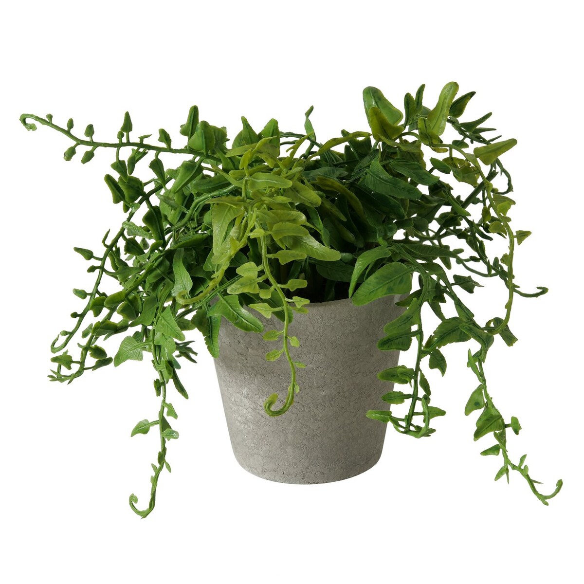 Sztuczna roślina w cementowej doniczce FERN, 17 cm