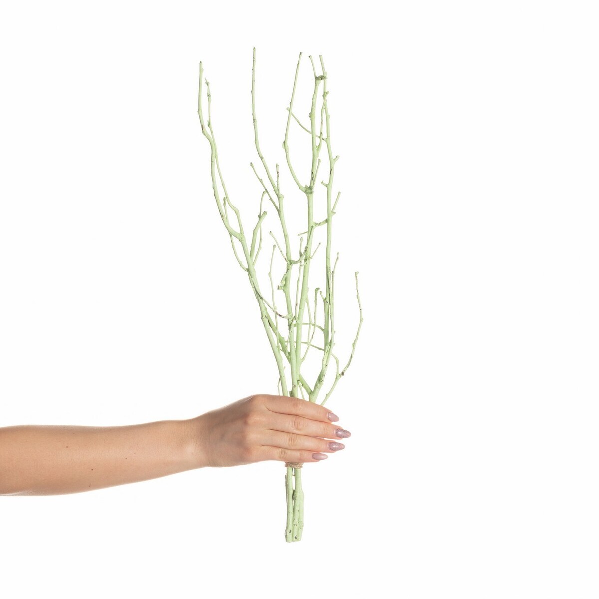 Gałązka Leszczyny 50cm light green, 10 x 10 x 50 cm
