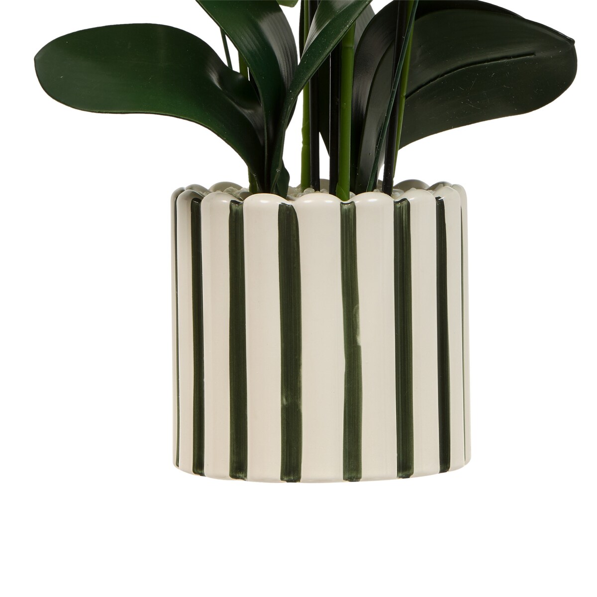 Sztuczna orchidea z ceramiczną doniczką w paski ASIA, 50 x 81 cm