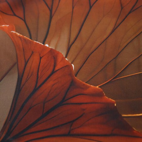 Pościel satyna bawełniana 180x200 Satynlove Premium beżowa w liście