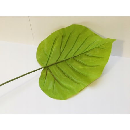 DUŻY LIŚĆ zielony gumowany realistyczny do stroika wiązanki bukiet łodyga
