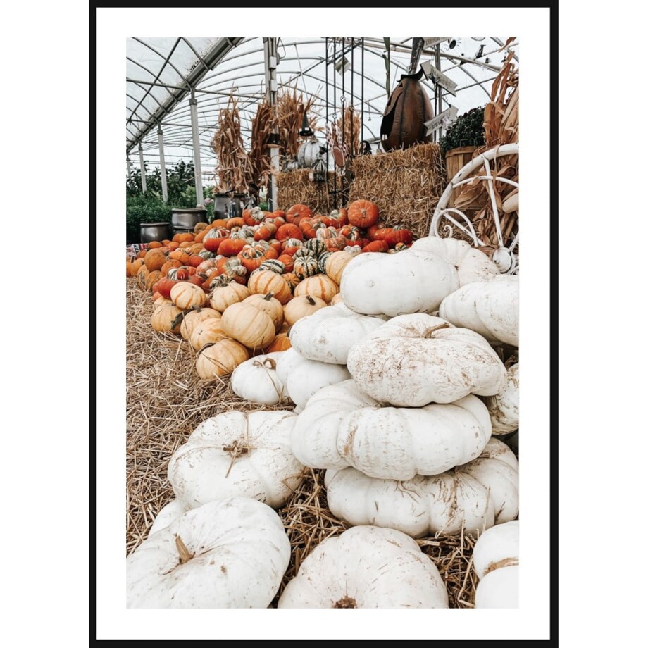 Poster Story, Plakat, Obraz - Kolorowe Dynie w Stogu Siana, wymiary 21 x 30 cm